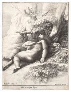 パルメジアーノの後の幼児ヘラクレスは眠っています。状態4 作： Wenceslaus Hollar